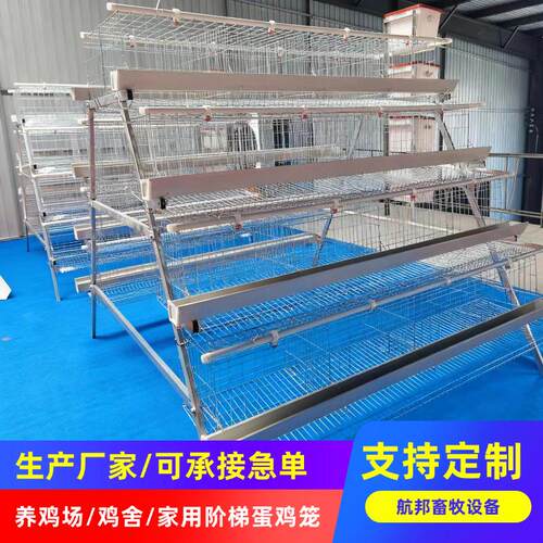 阶梯式蛋鸡笼方管支架蛋鸡笼三层四层四门五门阶梯养殖笼厂家