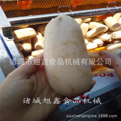 猪头蹄毛辊清洗设备厂家直发毛刷清洗机头蹄副产品加工清洗机器