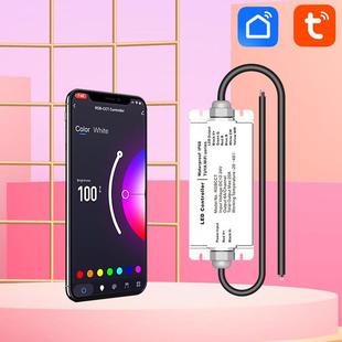 Fi无极调光单双色RGB 精品Tuya涂鸦智能灯带驱动IP68防水控制器Wi