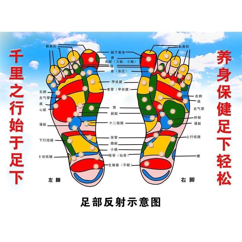足部反射示意图海报展板保健按摩足部穴位图足部分射区示意图挂图