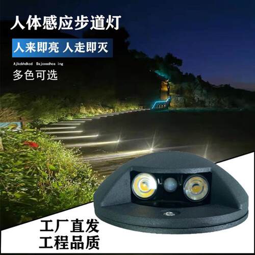 户外栈道灯地埋灯工程防水侧发光台阶灯接电人体互动感应步道灯具