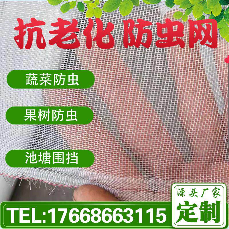 防虫网大棚专用农用蔬菜果园网猪场防蚊蝇网尼龙网养殖网加密加厚