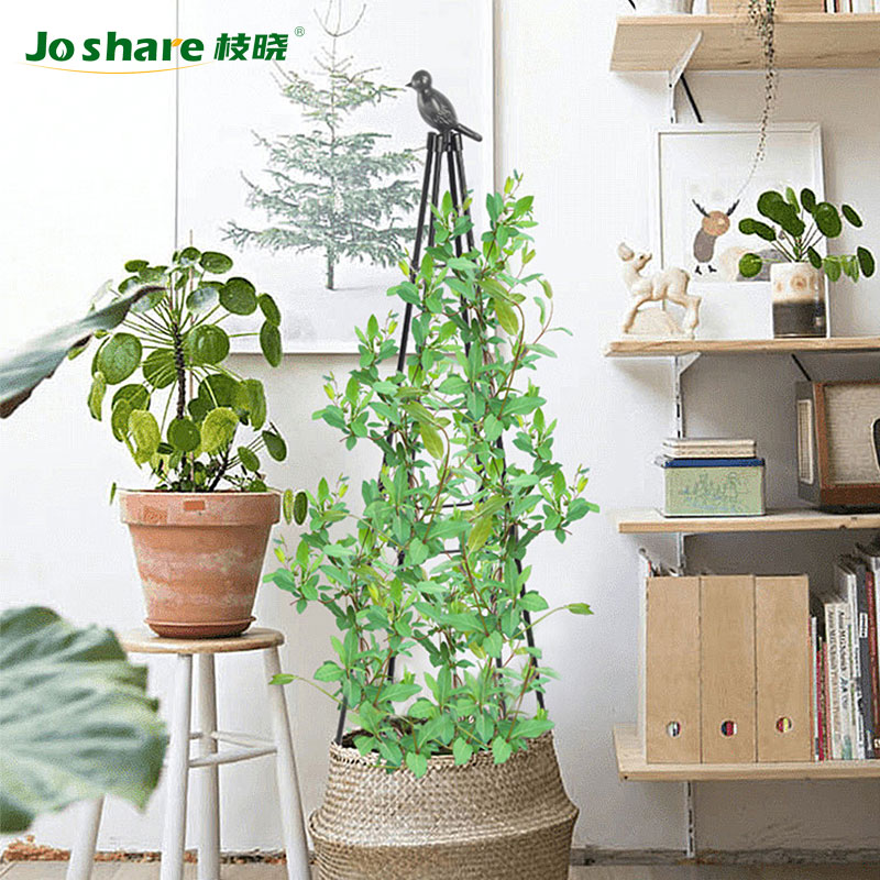 枝晓 花塔 花架支撑杆藤本月季铁线莲支架蔷薇花爬藤架爬藤支架子