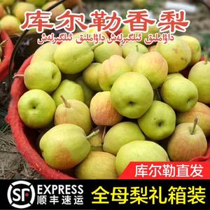 精选全母梨新疆正宗库尔勒香梨新鲜水果梨子净重9斤香梨顺丰包邮