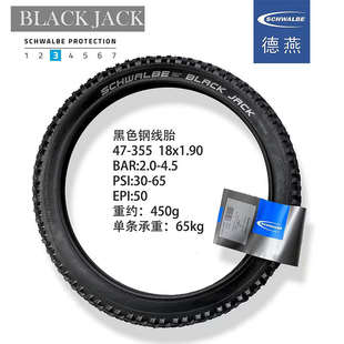世文schwalbe18寸鸟车改装胎BLACK JACK 18x1.9轮胎 355外胎