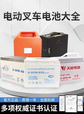 合力杭叉中力小金刚电动叉车电瓶蓄电池12V30A65A85A搬运车锂电池