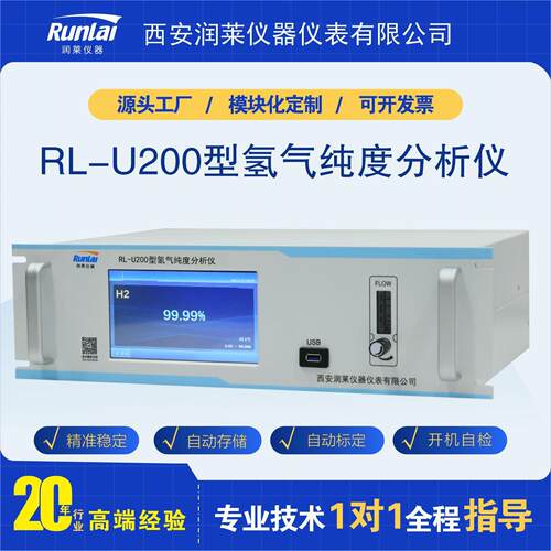 润莱仪器氢气纯度分析仪高精度H2/CO2气体在线智能直观检测仪