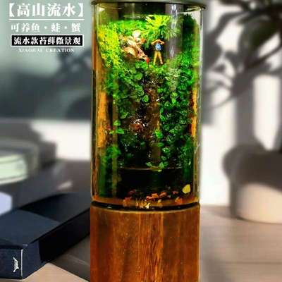 苔藓微景观生态瓶办公室桌面流水绿植盆栽生态缸养鱼【高山流水】