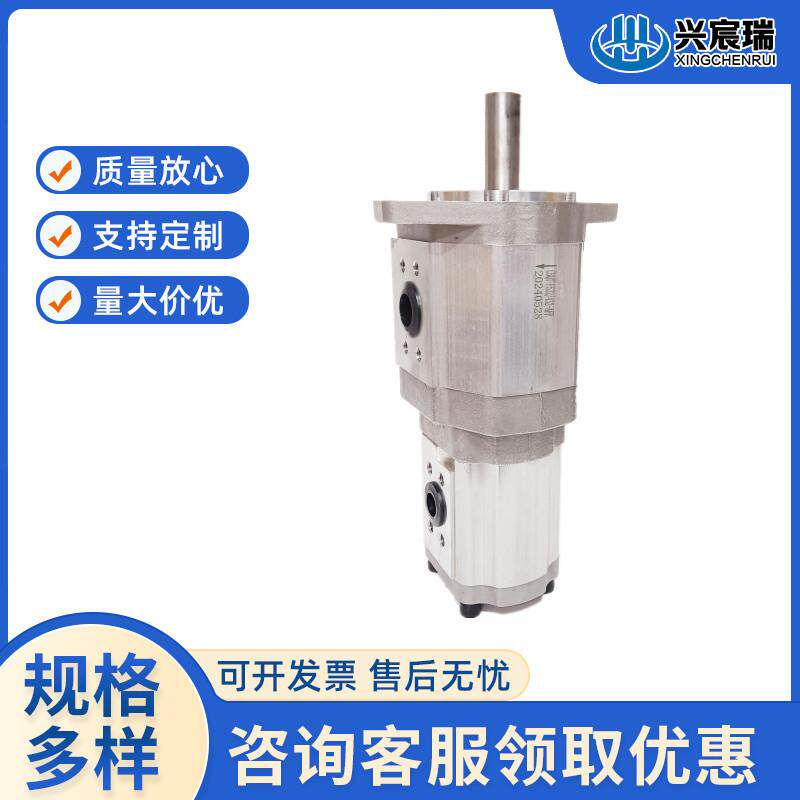 双联齿轮油泵CBQT-E5563/F432 F50/F5410 F50/F4516 FAMD50/F420-