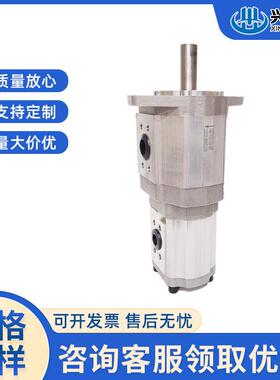 双联齿轮油泵CBQT-E563/F4321550/F40F50/F41F6F550/F4520TDB-AFH