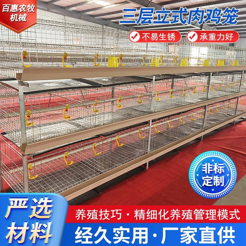 三层立式肉鸡笼养殖养鸡设备肉鸡笼防锈肉鸡笼热镀锌鸡笼厂家