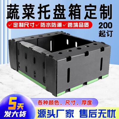 果蔬中空板箱透气保鲜防水瓦楞塑料箱托盘运输搬运pp板可拆折叠箱