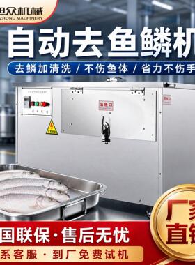 全自动去鱼鳞机市场超市商用刮鳞机不锈钢草鱼鲫鱼脱鳞机设备