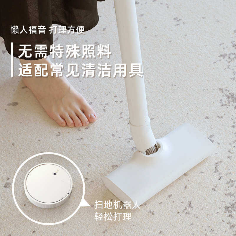 地毯客厅现代简约2025新款卧室免打理免洗可擦轻奢高级感沙发地垫