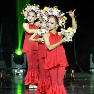 高档花入梦舞蹈服古典舞儿童演女出花篮舞蹈道具童簪幼儿群舞表演