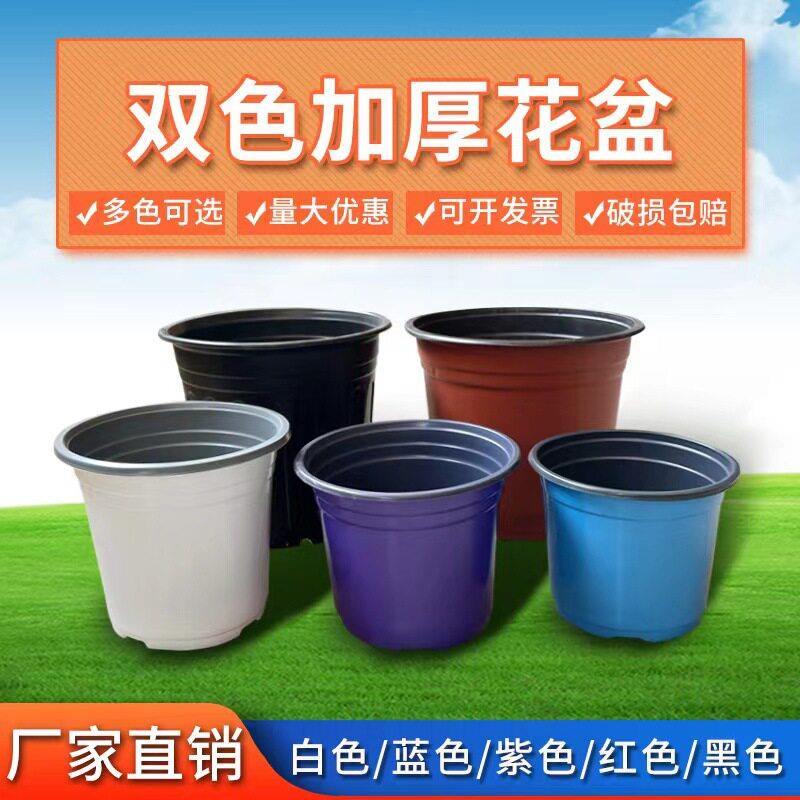 加厚pp双色盆双色花盆彩色花盆育苗盆种植盆基地盆多肉种植花盆