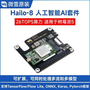 TOPS高算力 树莓派5 Hailo 8人工智能AI套件26 Windows 支持Linux