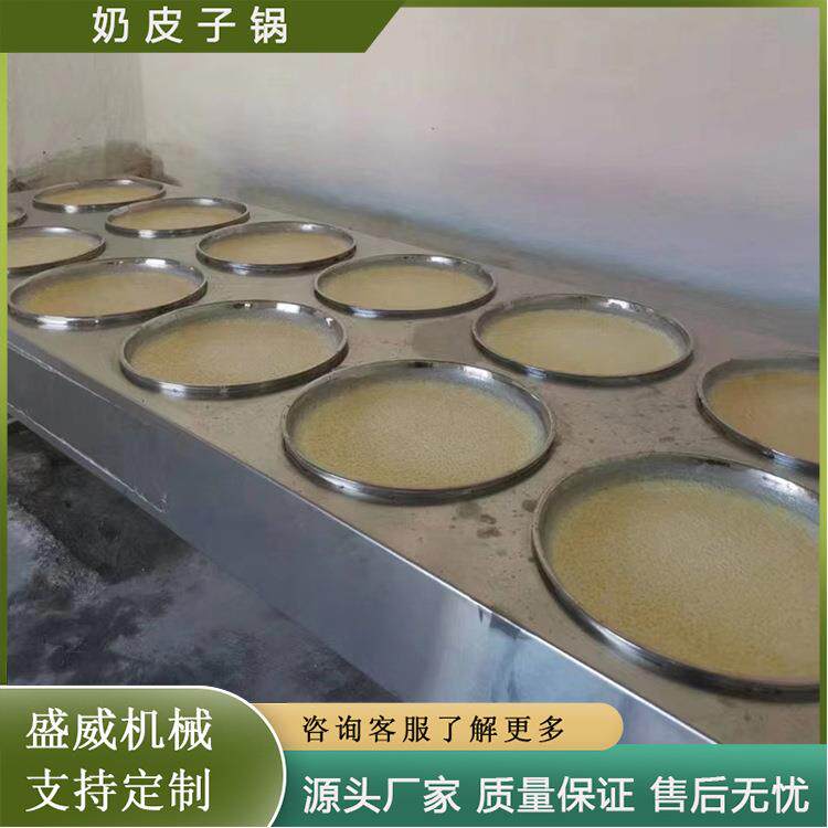 内蒙古奶皮制造设备电干烧奶皮机商用不加水的奶皮锅盛威机械