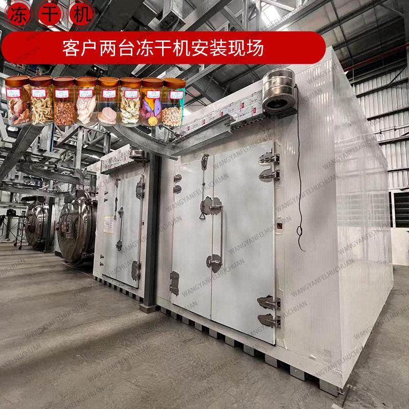 商用草莓冻干机脱水草莓脆片深加工设备全自动果蔬真空冷冻干燥机