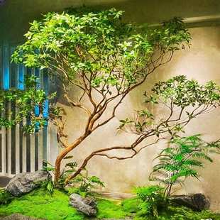 高端马醉木天井造景橱窗植物室内仿真绿植装饰树大型假树简约景观