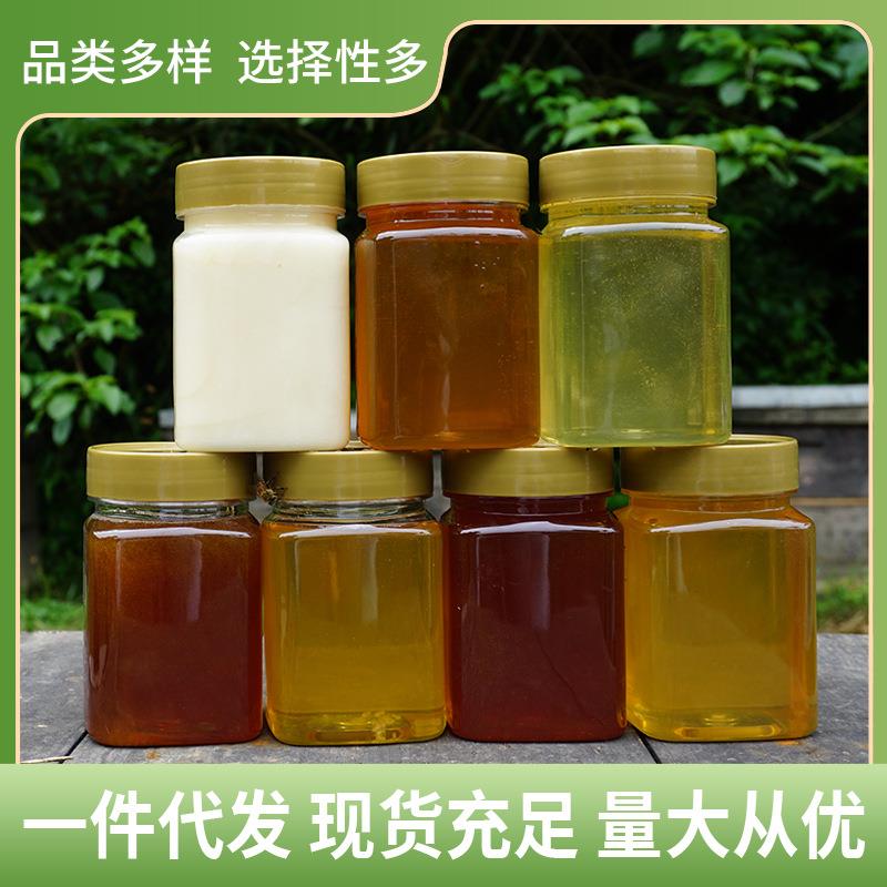 土蜂蜜500散装洋槐蜂蜜农家纯正鸭脚木蜂蜜 荆条蜂蜜龙眼蜜