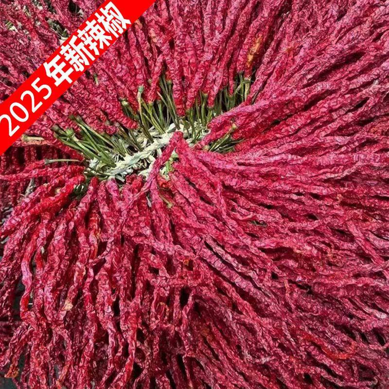 特香辣椒大方皱椒 贵州特产干辣椒 好于四川 二荆条辣椒 500g包邮