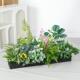 花箱户外绿植彷真造景庭院室内植物装 饰长条形花槽阳台彷真花摆设