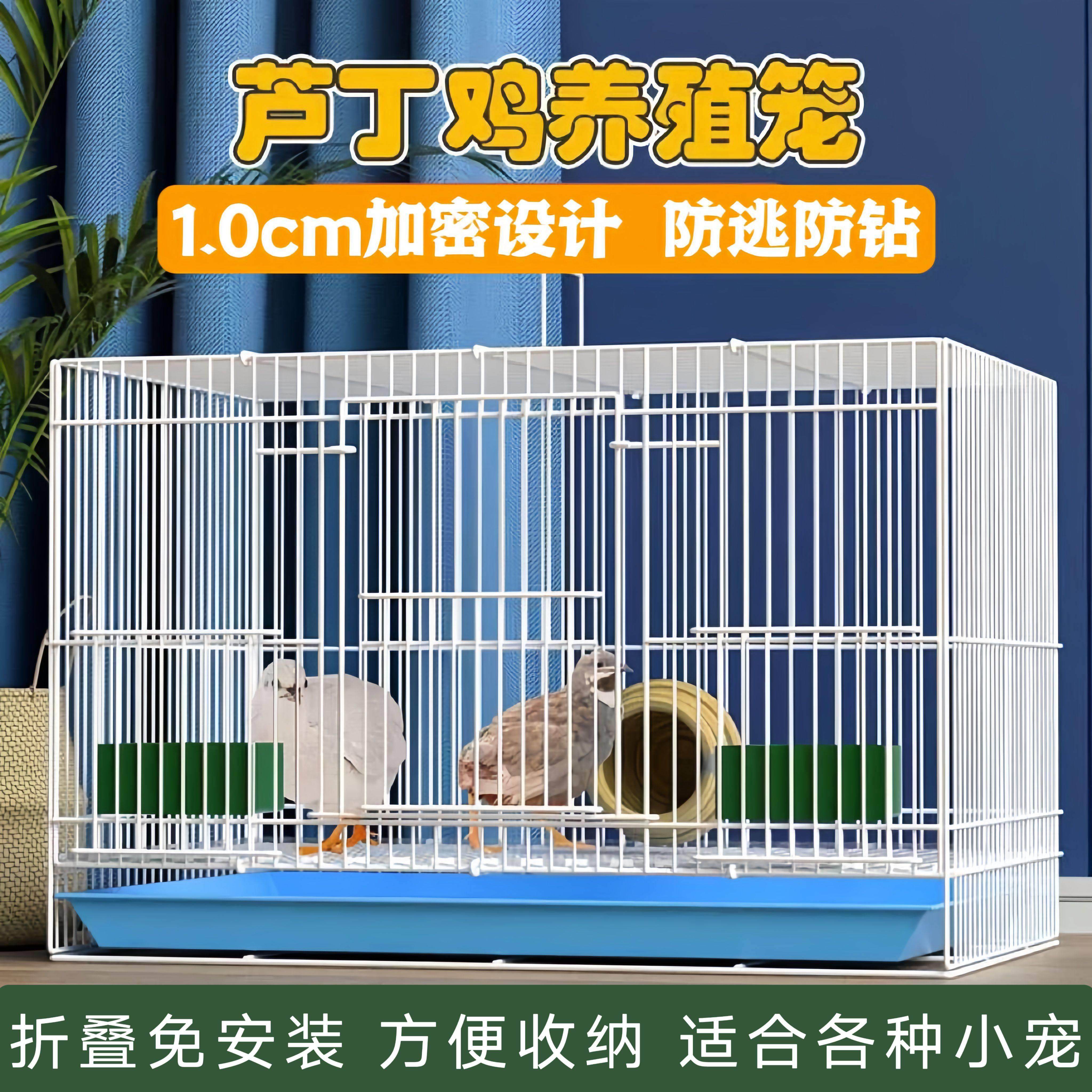 芦丁鸡专用家用鸡笼加密笼小鹌鹑养殖雏鸡宠物笼小黄柯尔鸭笼