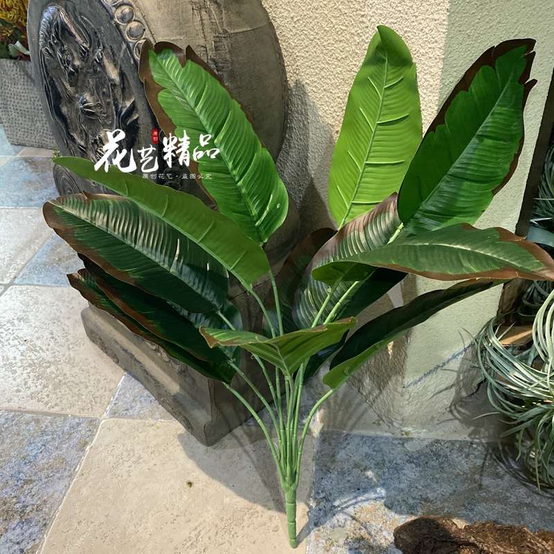 仿真芭蕉树叶热带大型树叶造景插花植物墙素材软装花艺陈列橱窗