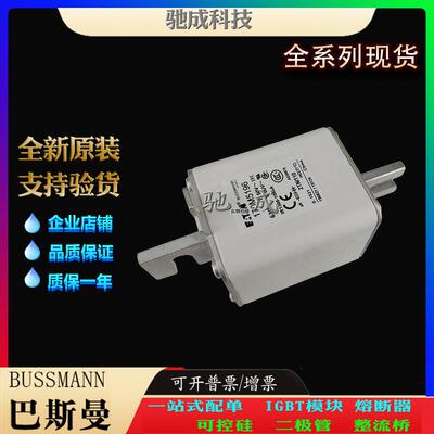巴斯曼170M5190 170M5191 170M5192 大量现货优价供应 快速熔断器