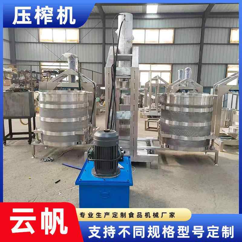 鲜榨刺梨果汁压榨机发酵糯米酒过滤榨汁机液压式果蔬压榨机