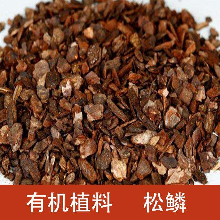 天然发酵松树皮 松鳞 兰花草种植基质 园林造景铺面干树皮覆盖物
