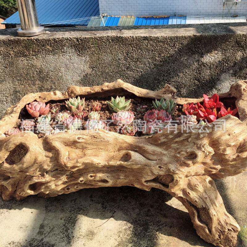 脂仿02135565木树根盆树头多肉大号花家绿植拼盘摆饰可种居菜盆盆