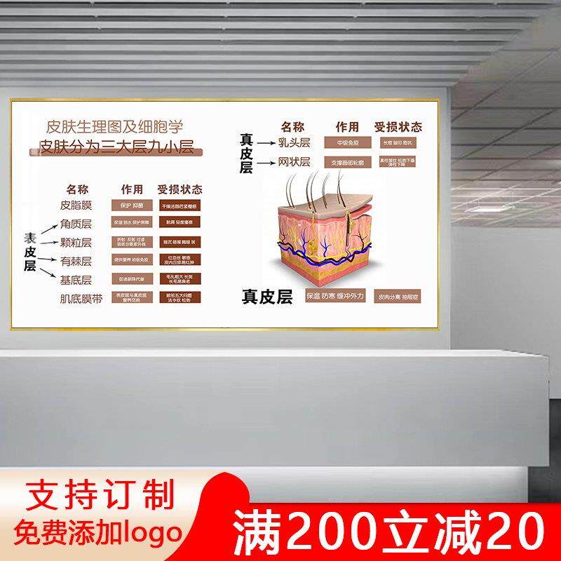 问题性调肤宣传结构解析皮肤管理挂画 画抗衰斑痘美容院装饰背景
