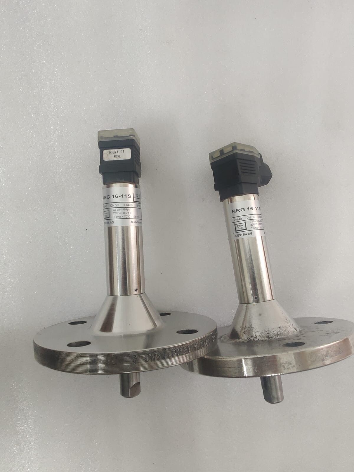 GESTRA NRG 16-11S 水平电极