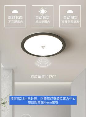 智道过能人感应灯le911d道家用声控光控物业楼体走廊雷达感应吸顶