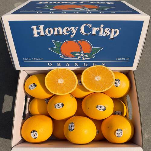 现货澳橙进口黑标3107脐橙子礼盒装多汁当季水果大HoneyCrisp包邮