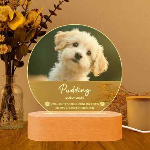 跨境新品动物爱好者创意爪印标志temu个性化宠物纪念LED小夜灯