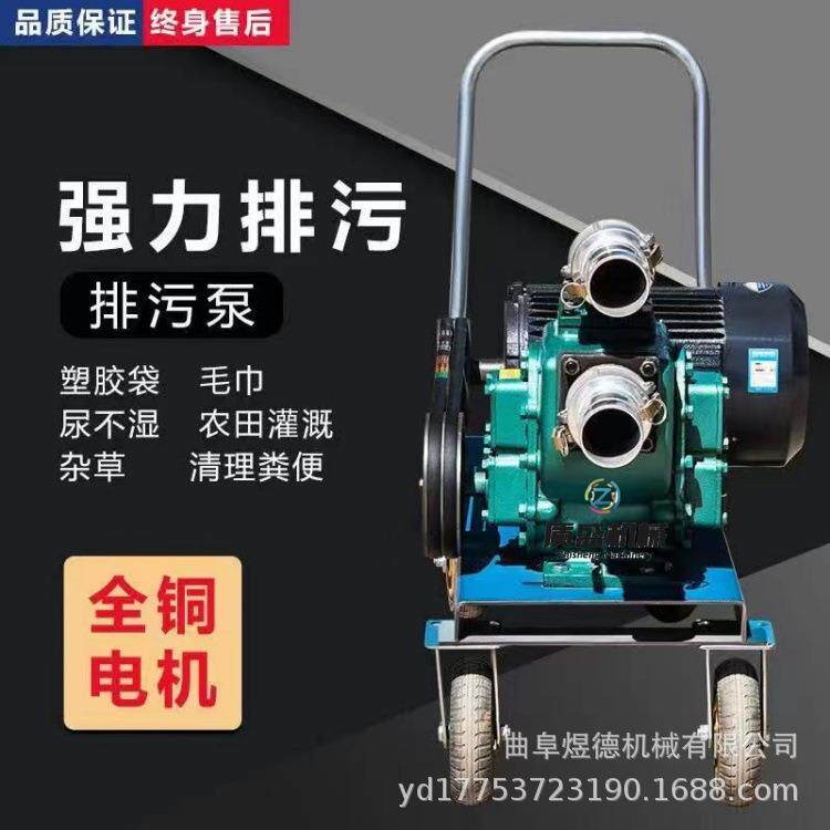 柴油机抽粪泵泥沙水黄河水淤泥清理河道清淤抽污泵防汛排污泵