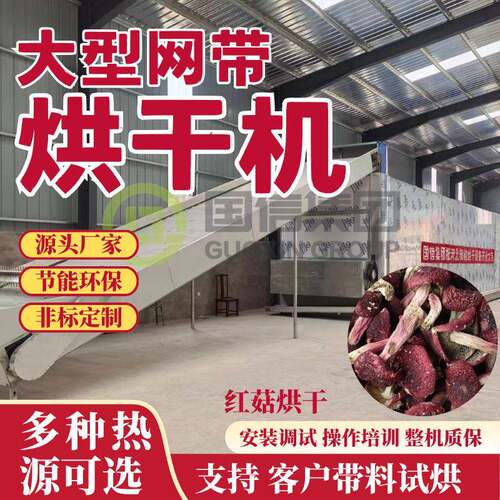 红姑网带烘干机大红菇红椎菌食用菌低温热泵多层网带连续烘干锁色