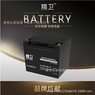 科华精卫蓄电池6-GFM-38-YT 12V38AH报警消防及安保系统