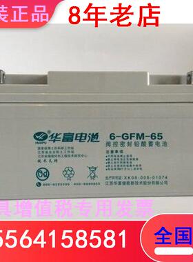 华富蓄电池6-GFM-70紧急电源家用光伏发电 风力系统12V70AH计算机