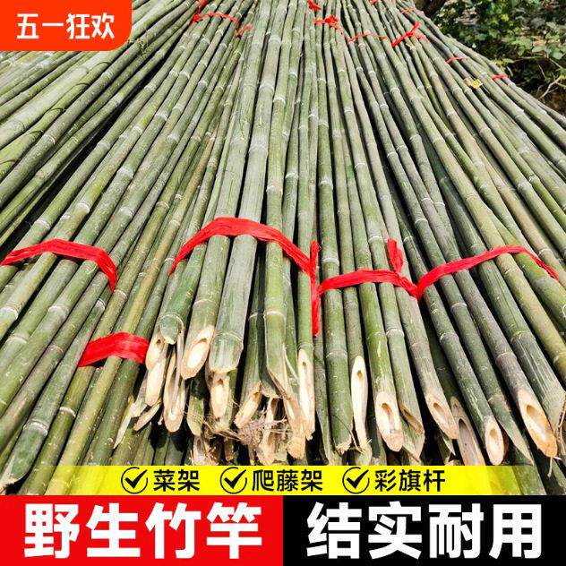 爬藤架搭架蔬菜豆角竹子旗杆菜园种菜小篱笆栅栏细架竹竿彩竹杆