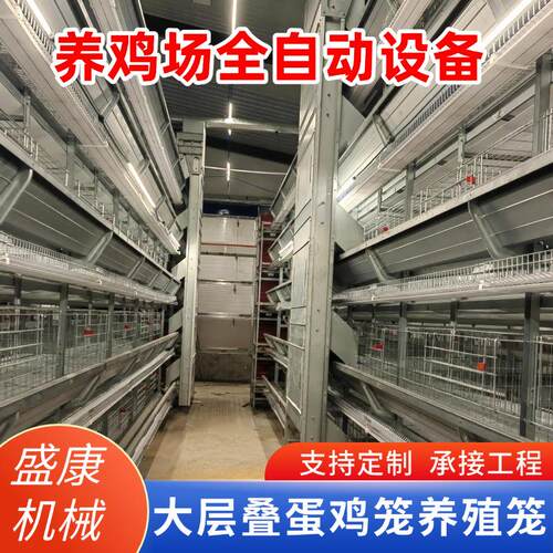 镀锌大层叠蛋鸡笼自动化捡蛋清粪养殖设备蛋鸡笼鸡舍养殖蛋鸡笼