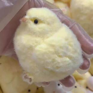 Toys rua泥感鸡 Chick Squishy Squeeze Fidget Soft Taba Ultra