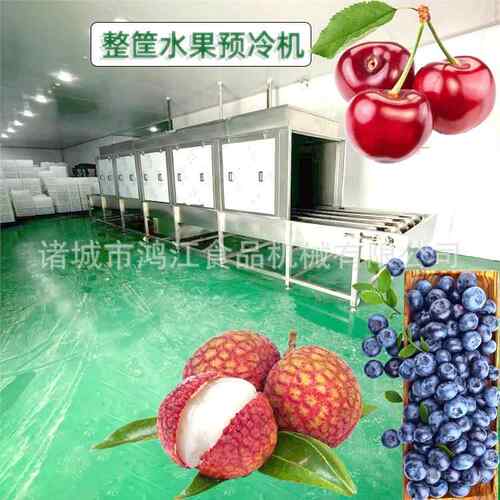 喷淋冷却机 水果冷却流水线设备 常温水降温设备荔枝全自动冷却机
