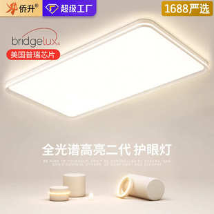 普瑞芯片全光谱吸顶灯客厅灯大厅主灯超薄现代简约中山灯具厂直销