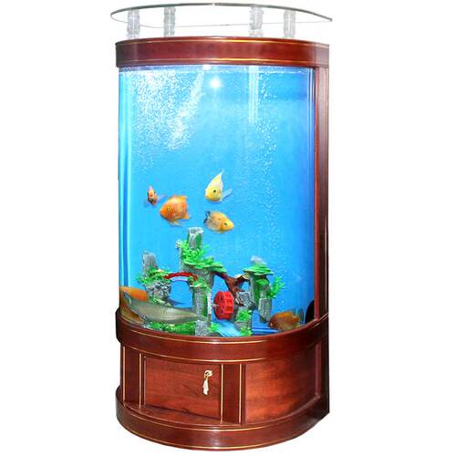欧式半圆形鱼缸生态玻璃客厅家用水族箱中型创意靠墙金鱼缸0.8米