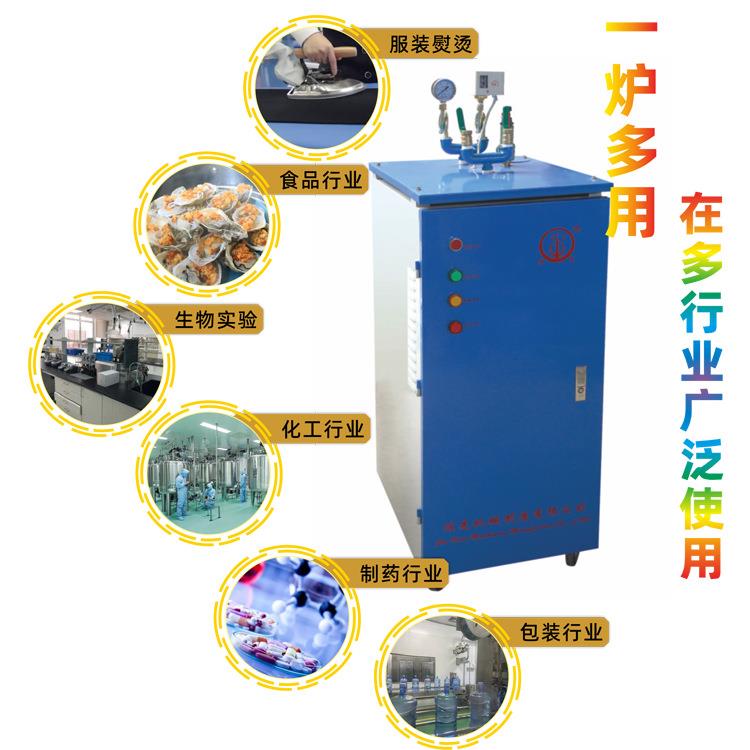 24kw新型节能电锅炉佳先电加热蒸汽发生器工业熨烫蒸汽机蒸汽快热