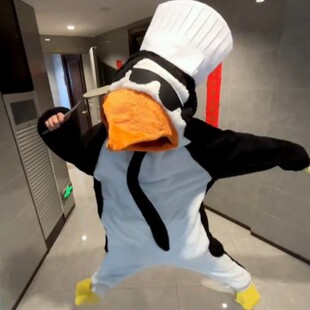 高雅人士cos服企鹅衣服连体睡衣年会人偶服舞蹈服装搞笑搞怪可爱